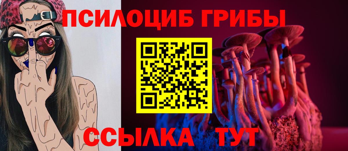 Псилоцибиновые грибы мухоморы Долгопрудный
